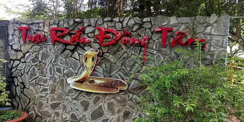 Khám phá du lịch tại trại rắn Đồng Tâm