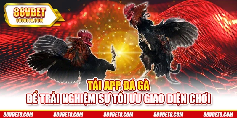 Tải app đá gà để trải nghiệm sự tối ưu giao diện chơi app-da-ga-giao-dien-ung-dung Tải app đá gà để trải nghiệm sự tối ưu giao diện chơi app-da-ga-giao-dien-ung-dung