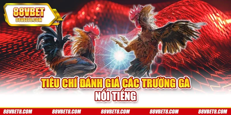 Tiêu chí đánh giá các trường gà nổi tiếng Tiêu chí đánh giá các trường gà nổi tiếng