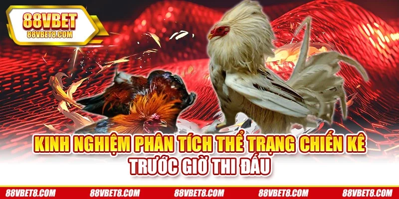 Kinh nghiệm phân tích thể trạng chiến kê trước giờ thi đấu Kinh nghiệm phân tích thể trạng chiến kê trước giờ thi đấu