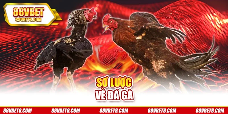 Sơ lược về đá gà Sơ lược về đá gà