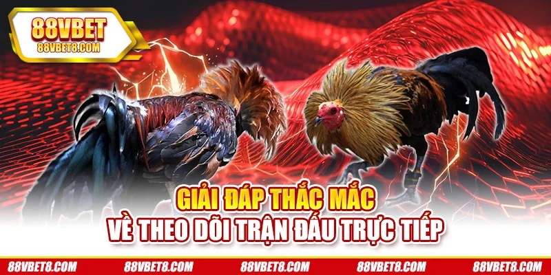 Giải đáp thắc mắc về theo dõi trận đấu trực tiếp Giải đáp thắc mắc về theo dõi trận đấu trực tiếp