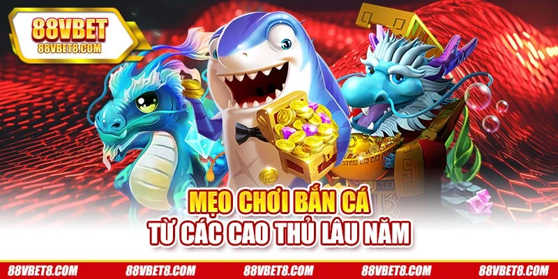 Mẹo chơi bắn cá từ các cao thủ lâu năm Mẹo chơi bắn cá từ các cao thủ lâu năm